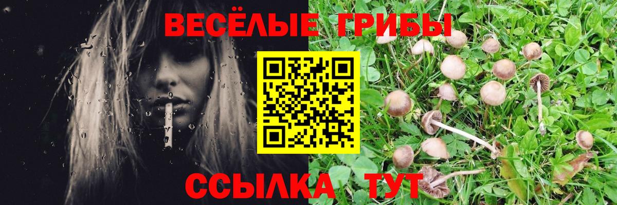 Галлюциногенные грибы ЛСД  Вход с VPN  Галлюциногенные грибы Magic Shrooms  Мытищи 