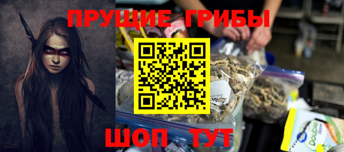 Псилоцибиновые грибы Psilocybe Мытищи